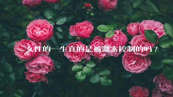 女性的一生真的是被激素控制的吗?
