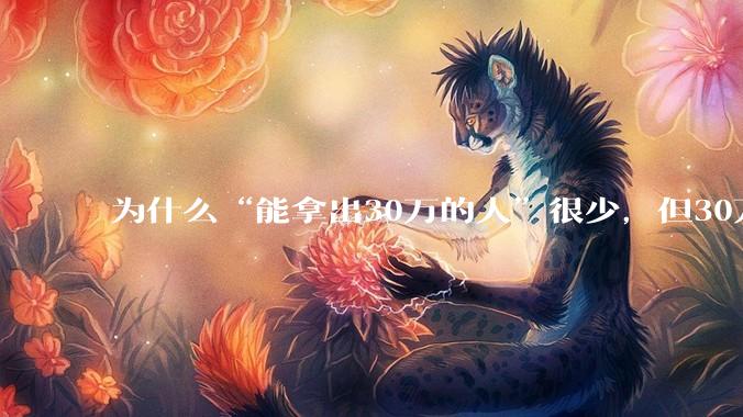 为什么“能拿出30万的人”很少，但30万的车满大街都是？